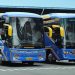 PO Putra Paimaham Tambah Dua Bus Baru Rakitan Karoseri New Armada