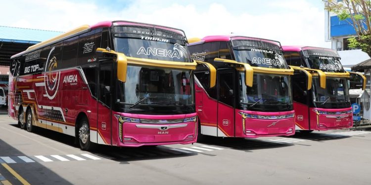 Tiga Bus Mewah Baru PO Aneka Transport Mulai Mengaspal Layani Pemudik di Sulawesi