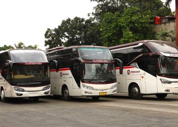 Siap Mudik Lebaran 2026! PO Primajasa Rilis Tarif Resmi Jabodetabek-Bandung, Tetap Bersahabat di Kantong