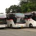 Siap Mudik Lebaran 2026! PO Primajasa Rilis Tarif Resmi Jabodetabek-Bandung, Tetap Bersahabat di Kantong