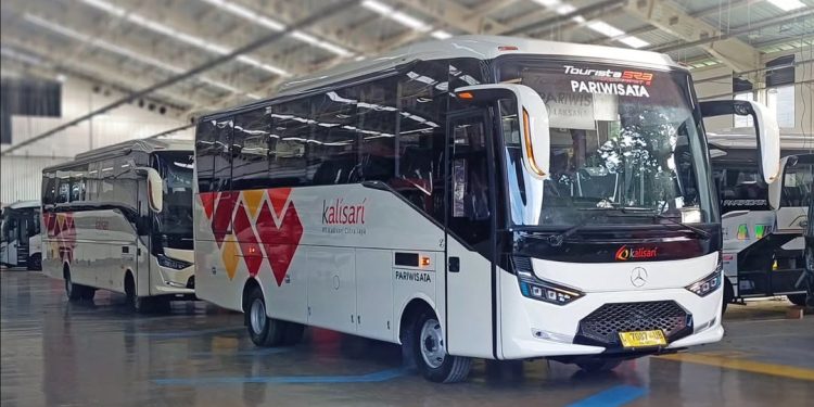 Manjakan Wisatawan! PO Kalisari Rilis Bus Mercedes-Benz OF 917 Versi Long dan Short Wheelbase