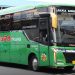 Tangguh dan Nyaman! PO Tinara Trans Hadirkan Medium Bus Berbalut Bodi Touristo F25