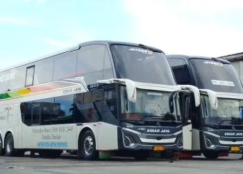 Borong 32 Sasis Mercedes-Benz, Ini Alasan Rahasia PO Sinar Jaya Ogah Lirik Merek Eropa Lain!