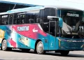 Tampil Nyentrik, PO Primadona Luncurkan Duet Bus Skylander F25, Sistem Bagasinya Unik!