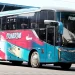 Tampil Nyentrik, PO Primadona Luncurkan Duet Bus Skylander F25, Sistem Bagasinya Unik!