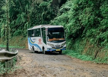 Mengenal Layanan Bus Perintis Damri yang Menghidupkan Pelosok Negeri