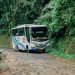 Mengenal Layanan Bus Perintis Damri yang Menghidupkan Pelosok Negeri