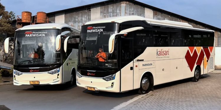 Satu Bodi Dua Rasa! PO Kalisari Kawinkan Bodi Legacy SR3 Neo Panorama dengan Sasis Berbeda Kelas!