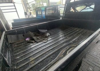 Pikap Bekas Ramai Peminat, Daihatsu Gran Max Paling Dicari
