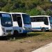 Damri Pastikan Akses Bus Antar Wilayah Tetap Terhubung Pascagempa NTT