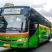 Sejarah PT Mayasari Bakti, Lolos dari dari Kebijakan 1976 Hingga Kuasai Transjakarta