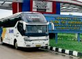 DAMRI Resmi Buka Rute Bus ALBN Baru Kuching-Putussibau, Cek Tarifnya!