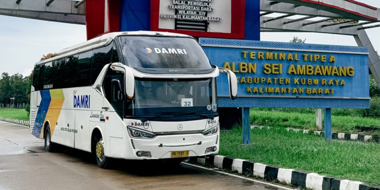 DAMRI Resmi Buka Rute Bus ALBN Baru Kuching-Putussibau, Cek Tarifnya!
