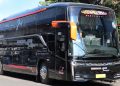 PO Tunggal Jaya Transport Rilis Bus Baru Skylander R25 Vision, Begini Fasilitasnya