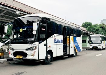 Imbas BBM Langka di Belasan Daerah, Damri Angkat Bicara dan Minta Maaf!